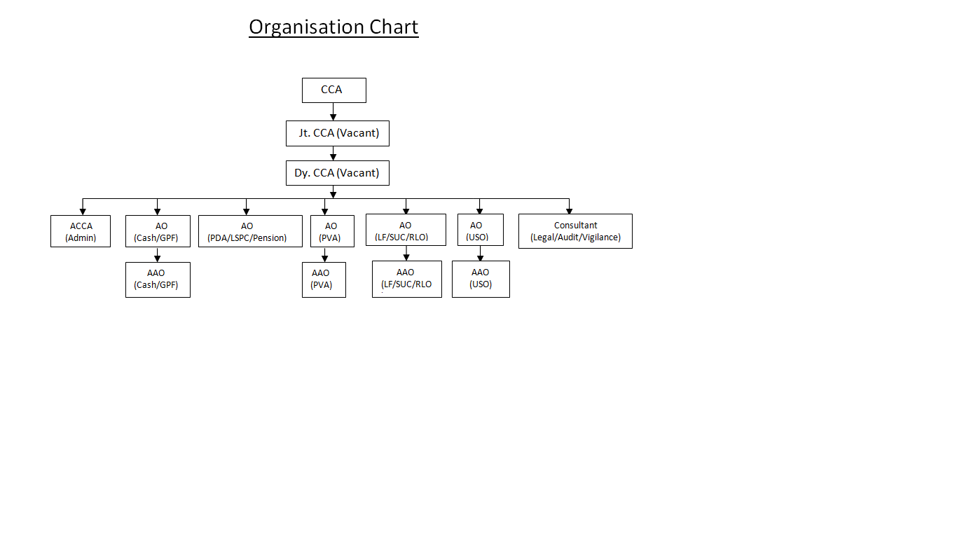 Organisation Chart Image