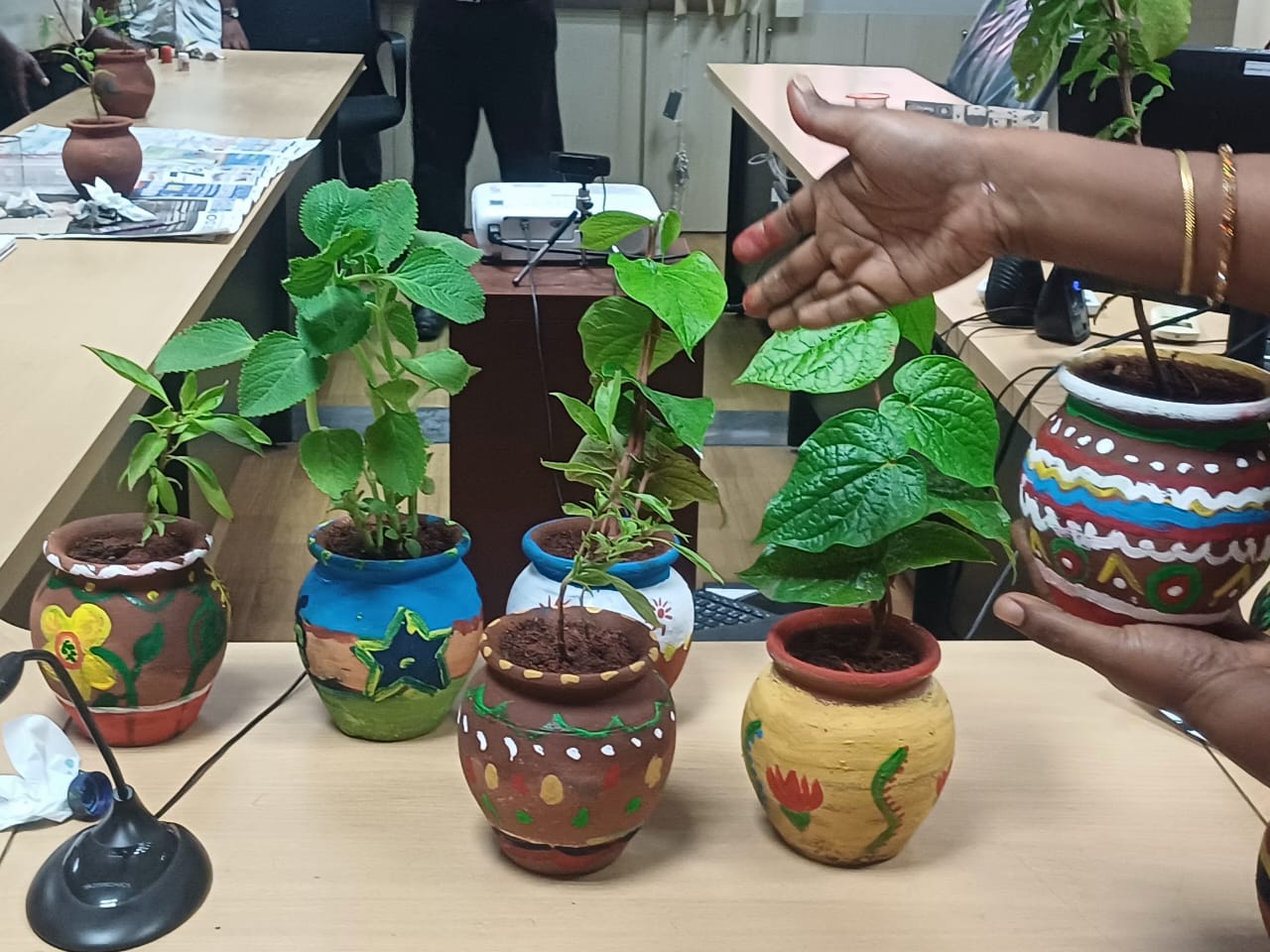 World Environment Day